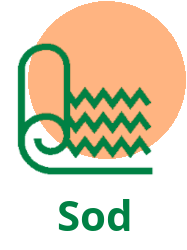 Sod